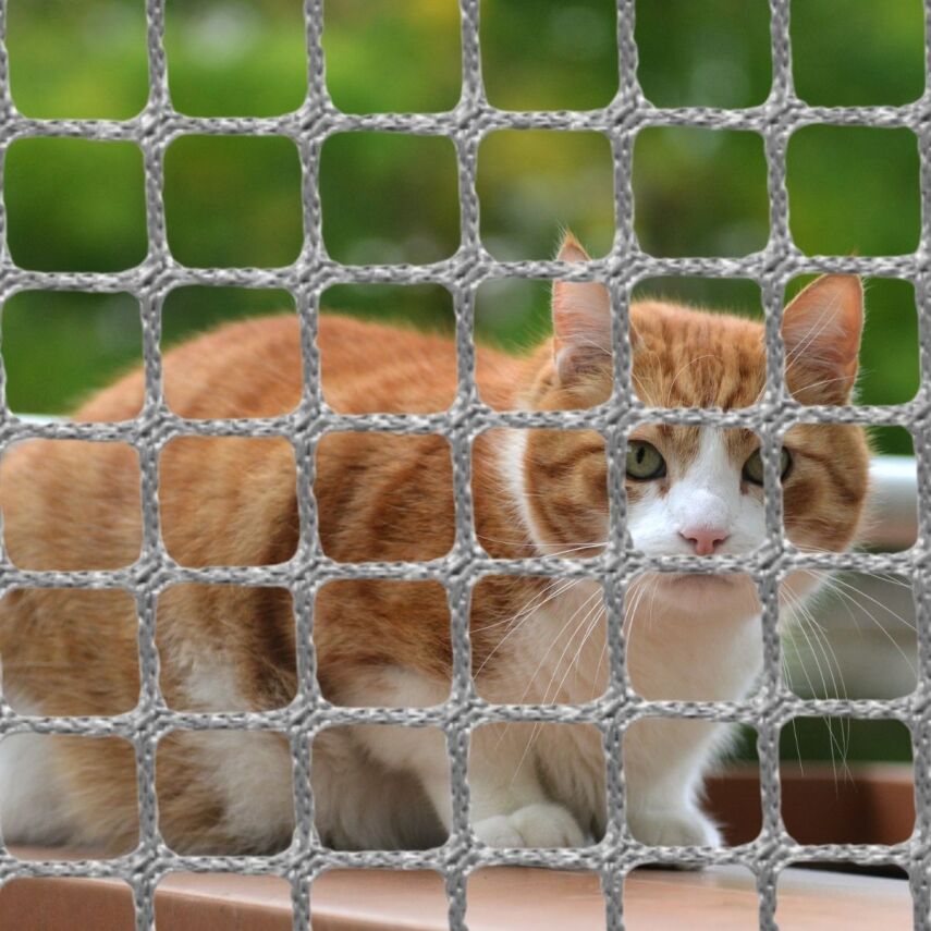 Kedi Filesi Gri (Overloklu) - 1