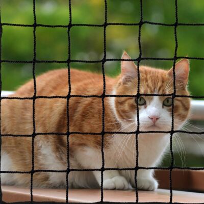 Kedi Filesi Siyah (Overloklu)